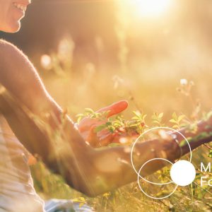Mindfulness & Compassion Foreningen