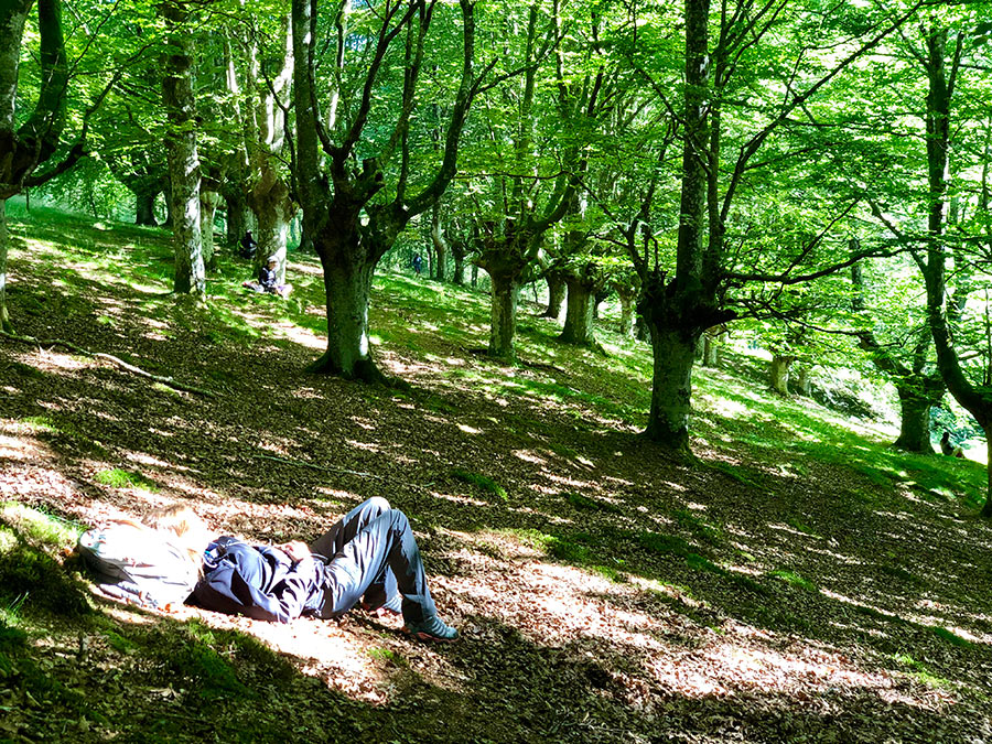 Lisa Klink – Skovbadning 11. juni 2026