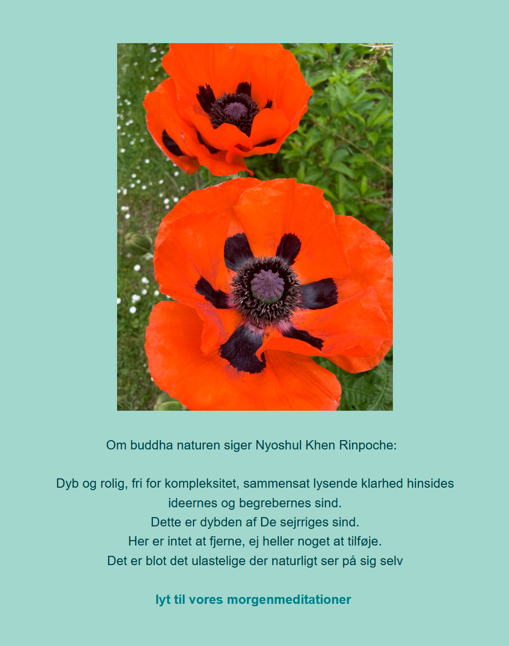 Morgen meditation